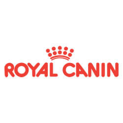 alimentos-para-caes-e-gatos-royal-canin